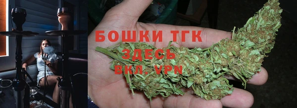 тгк Вяземский