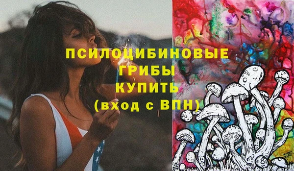тгк Вяземский
