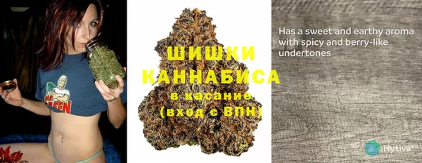 тгк Вяземский