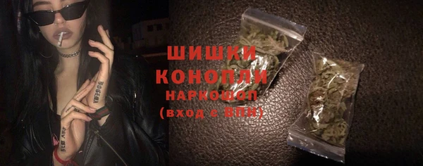 тгк Вяземский