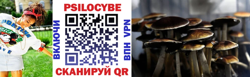 Купить где  Нарткала  Псилоцибиновые грибы прущие грибы 